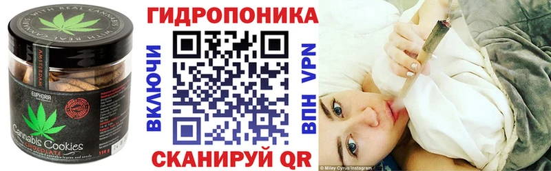 omg tor  Михайлов  Печенье с ТГК конопля 