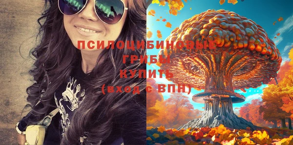 альфа пвп Белокуриха
