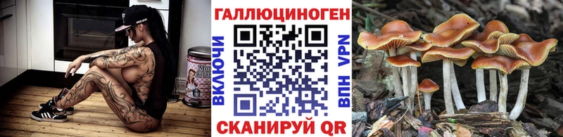 Псилоцибиновые грибы Psilocybine cubensis  кракен   Михайлов  купить  